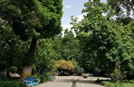 وعده مسئولان شهرداری پس از حصارکشی پارک لاله: قرار نیست درختی قطع شود