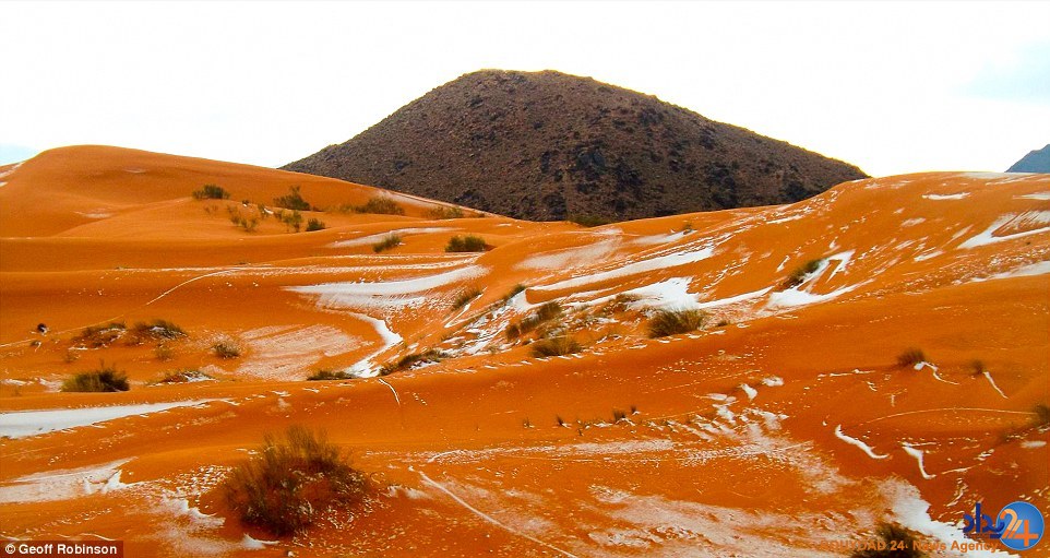سفیدپوش شدن صحرای بزرگ آفریقا برای نخستین بار پس از 37 سال (تصاویر)
