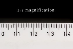 نسبت بزرگنمایی لنز در عکاسی ماکرو چیست و چرا اهمیت دارد؟