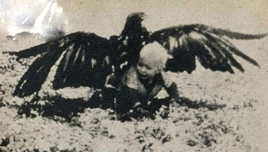 شکار پسر بچه‌ای ۳ ساله توسط عقاب(تصاویر)