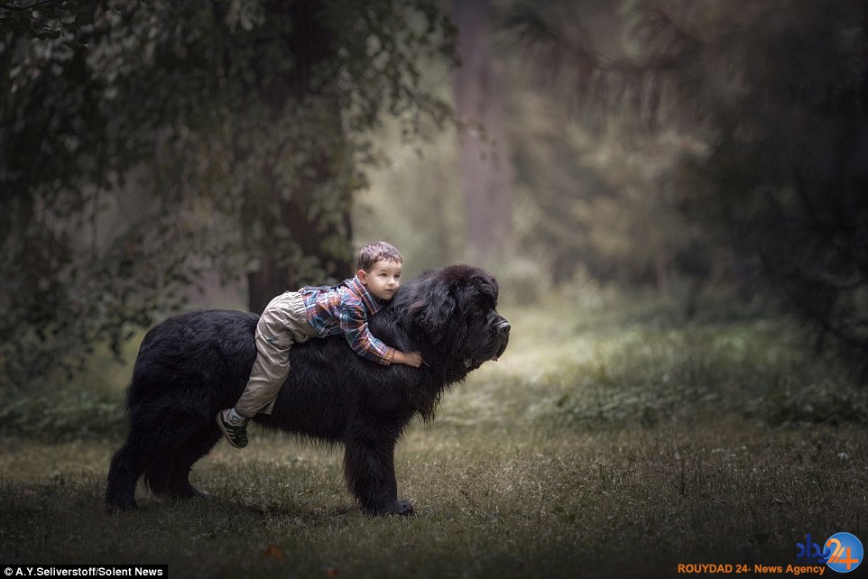 تصاویر باورنکردنی از کودکان نیم متری با سگ‌های بزرگ
