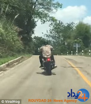 پرش نیم‌متری مار برای نیش زدن موتورسوار (فیلم و تصاویر)