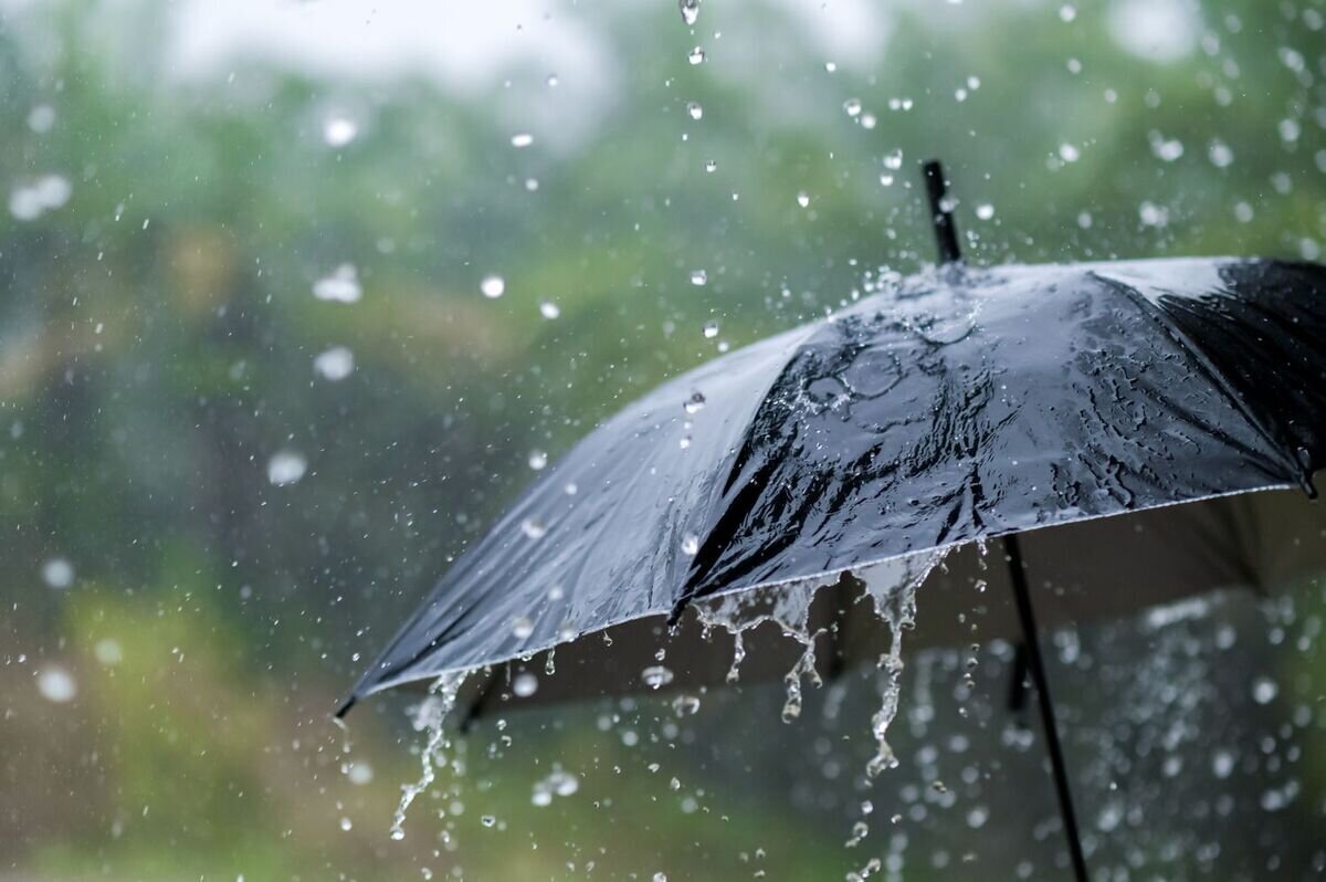 باران در ۱۲ استان شدت گرفت | وضع بارش در همه شهرها تا شنبه ۷ بهمن | هشدار هواشناسی درباره سفر
