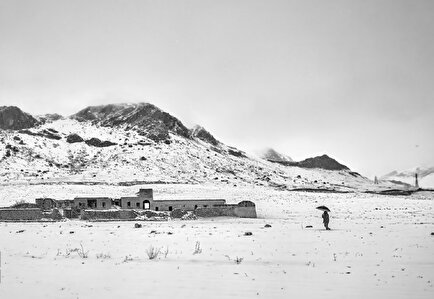به سپیدی برف؛ تصاویر دیدنی از ایران سپیدپوش
