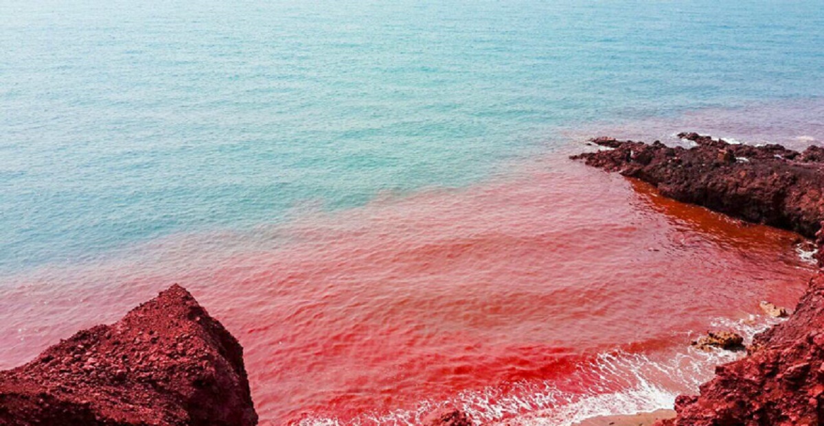 آب دریای هرمز قرمز شد