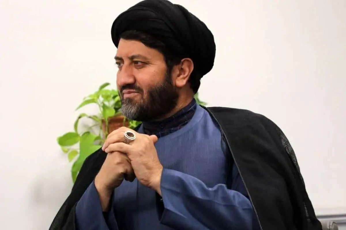 نماینده اسبق مجلس: برخی از نمایندگان ادوار، مسافرکشی میکنند نماینده اسبق مجلس: برخی از نمایندگان ادوار، مسافرکشی میکنند