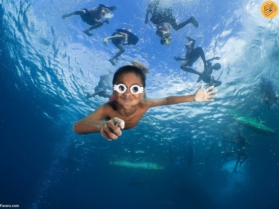 برندگان مسابقه عکاسی اقیانوس در سال ۲۰۲۳ 