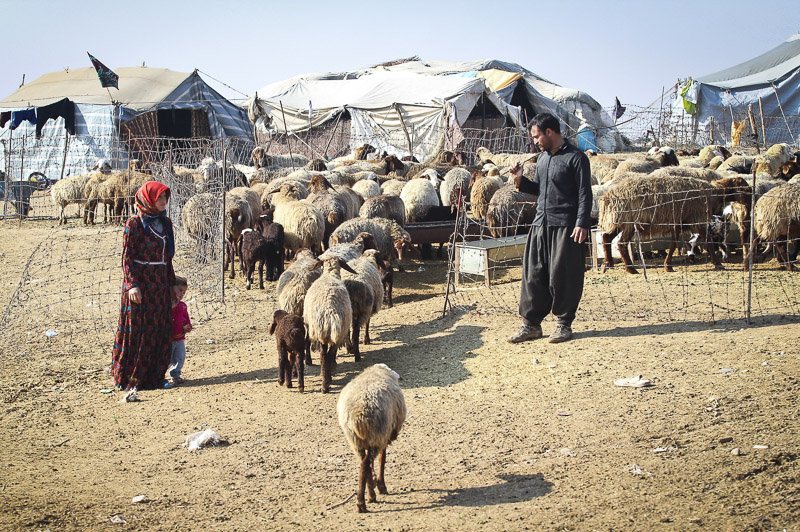 کوچ‌نشینان کرخه (تصاویر)