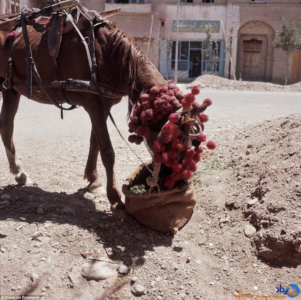 تصاویر شگفت‌انگیز از زندگی قبل از طالبان در افغانستان