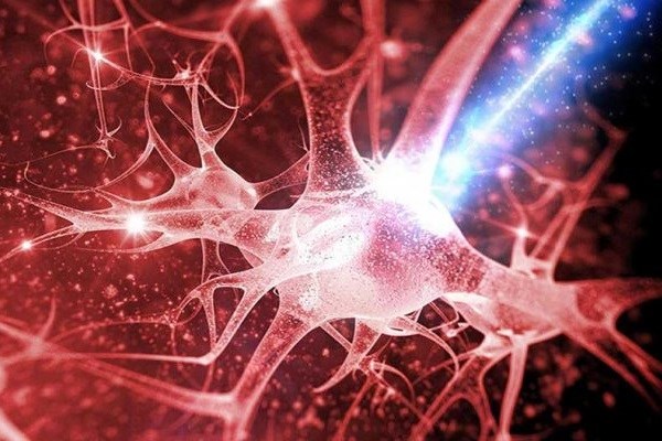 کشف سلول‌های اسرارآمیزی در مغز انسان
