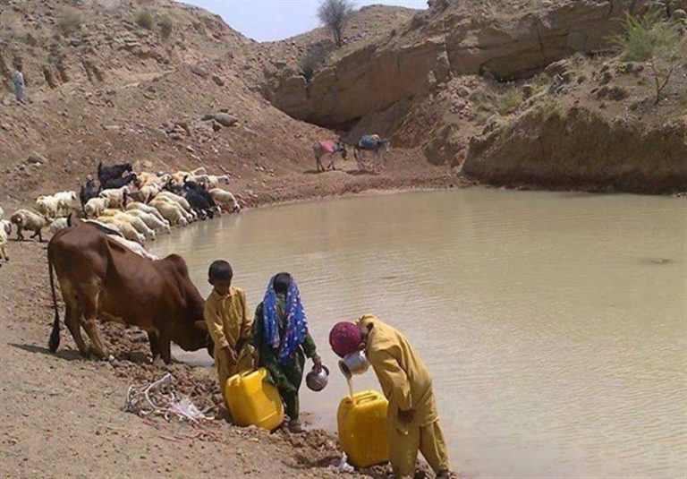 گاندو، پتانسیلی ارزشمند برای جذب گردشگر در منطقه آزاد چابهار