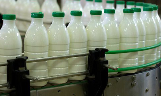 مقصر گرانی شیر کیست؟/ سرانه مصرف محصولات لبنی از ۱۱۰ به ۵۰ کیلو رسیده است