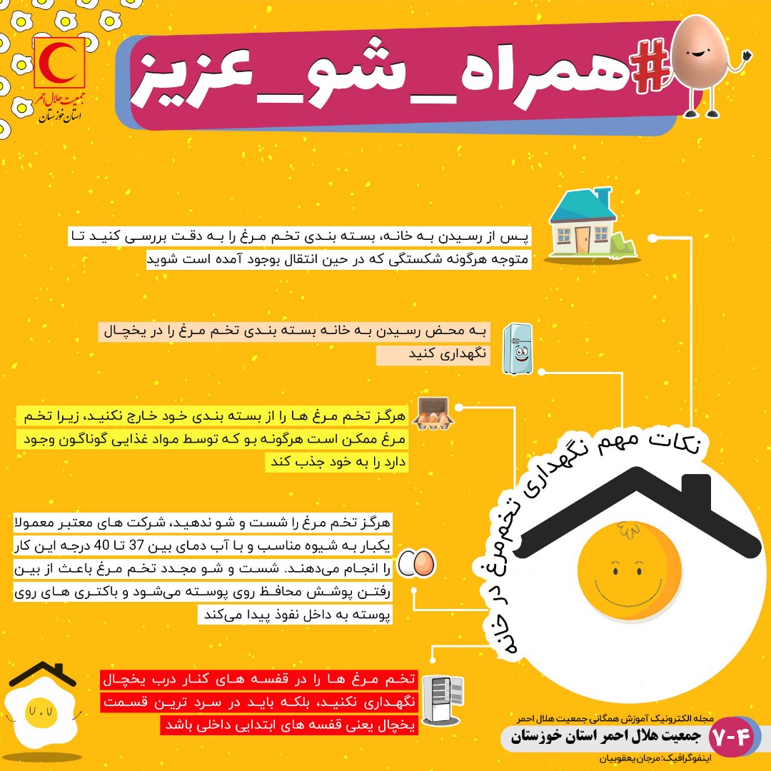 خرید و نگهداری تخم مرغ در دوران کرونا