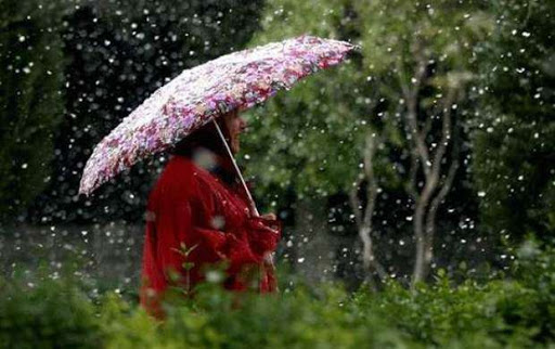 بارش باران در بیش از ۱۰ استان کشور