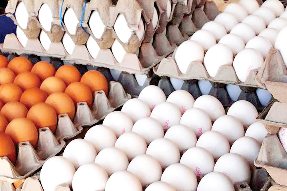 جدیدترین قیمت تخم مرغ در بازار + جدول
