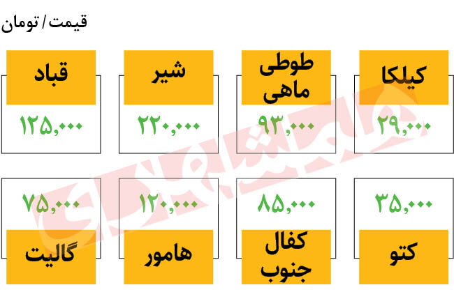 جدیدترین قیمت ماهی در میادین