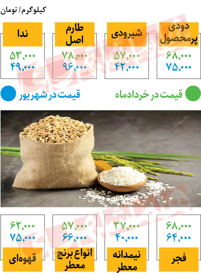 قیمت برنج ارزان شد