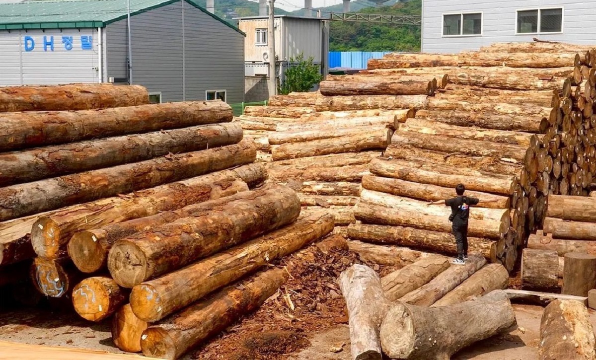 نحوه ساخت کاناپه چوبی در یک کارخانه معروف کره‌ای