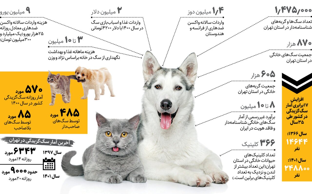 سازمان دامپزشکی کشور: هر ۱۰ تهرانی یک سگ خانگی دارد