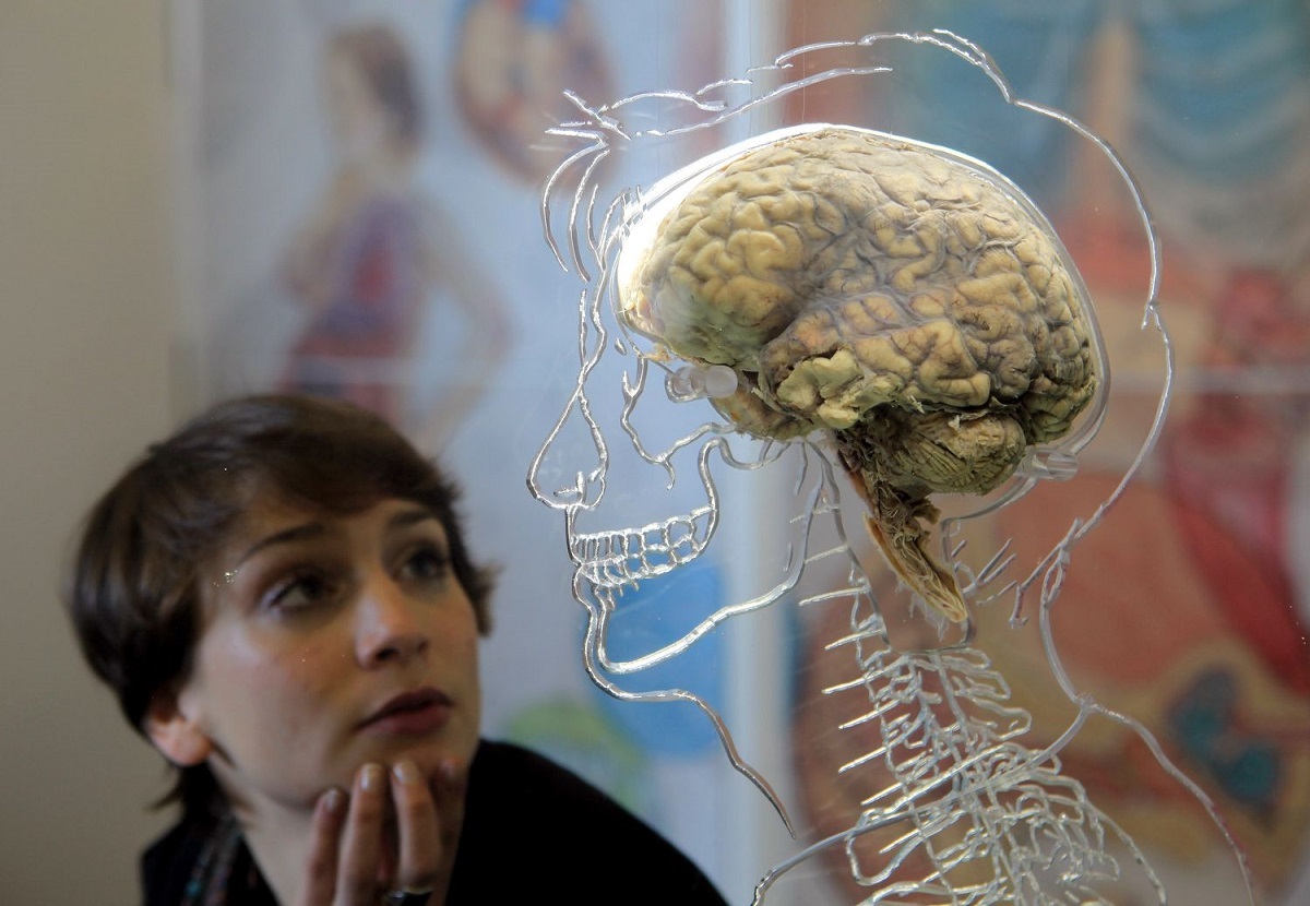 ساخت دستگاهی که مغز را مستقل از بدن زنده نگه می دارد!