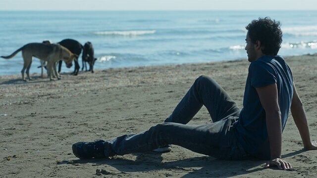 نقد و بررسی فیلم رکسانا| نقد و بررسی فیلم رکسانا|