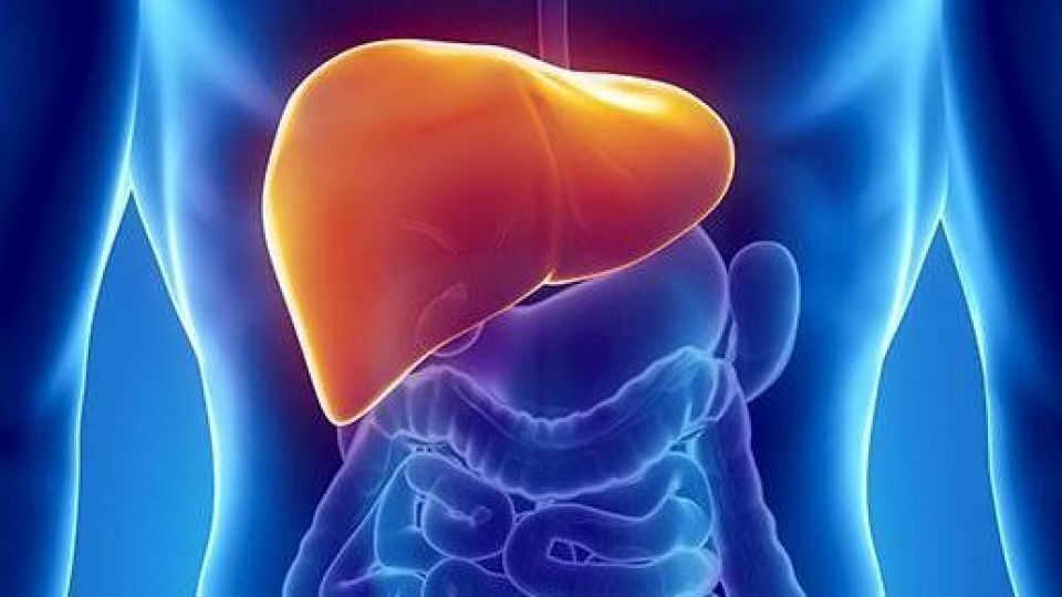 کبد چرب چیست؟ بررسی گریدهای مختلف و علائم هر کدام کبد چرب چیست؟ بررسی گریدهای مختلف و علائم هر کدام