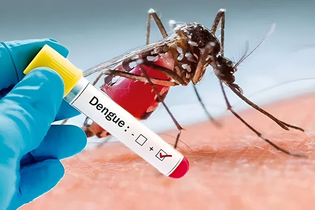 آخرین وضعیت تب دنگی در کشور؛ چند نفر مبتلا شدند؟ آخرین وضعیت تب دنگی در کشور؛ چند نفر مبتلا شدند؟