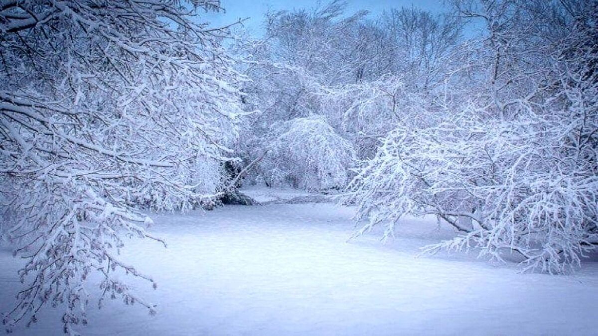 ببینید| بارش زیبای برف گردنه لاریخانی دیلمان