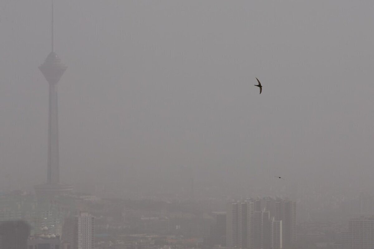 هوای تهران ناسالم شد هوای تهران ناسالم شد