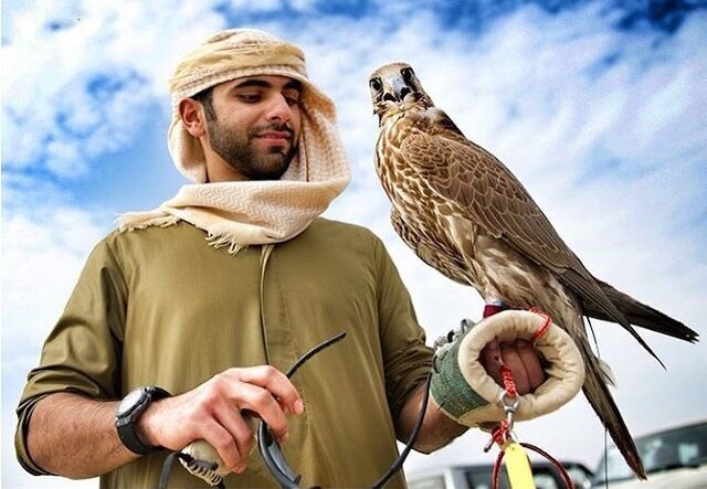 یک اتفاق ترسناک برای محیط زیست؛ بازار دلاری پرندههای شکاری یک اتفاق ترسناک برای محیط زیست؛ بازار دلاری پرندههای شکاری