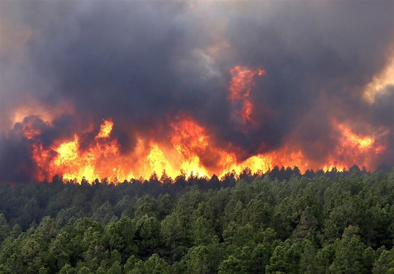 ببینید| تصاویری هولناک از آتش سوزی در جنگل‌های پاوه