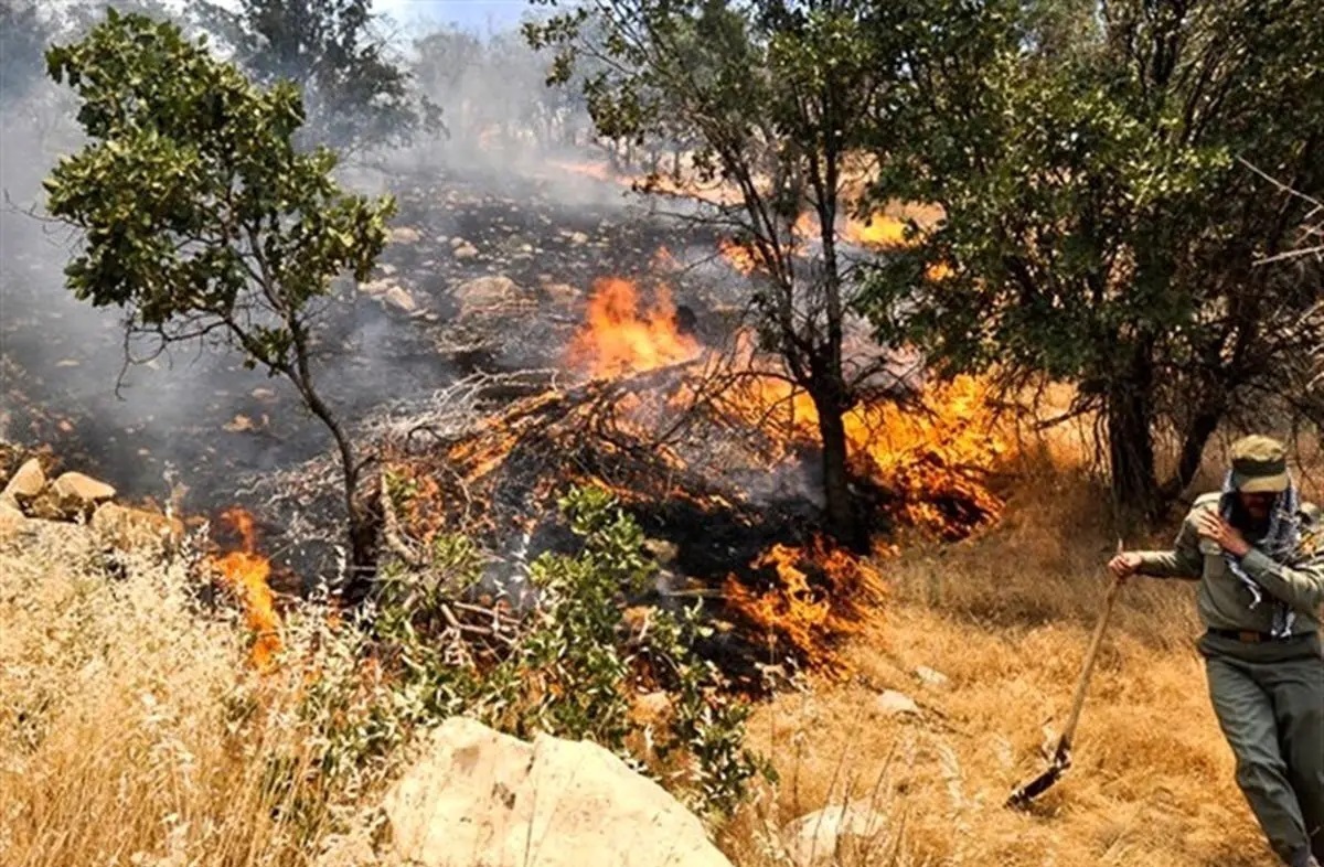 ببینید| آتش‌سوزی گسترده در جنگل‌ها و مراتع گیلان غرب