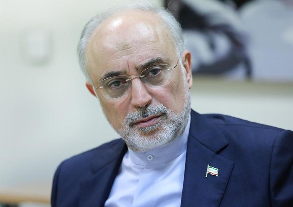 ببینید| صالحی: جلیلی پس از صدور قطعنامه علیه ایران هم می‌گفت خیلی مهم نیست!
