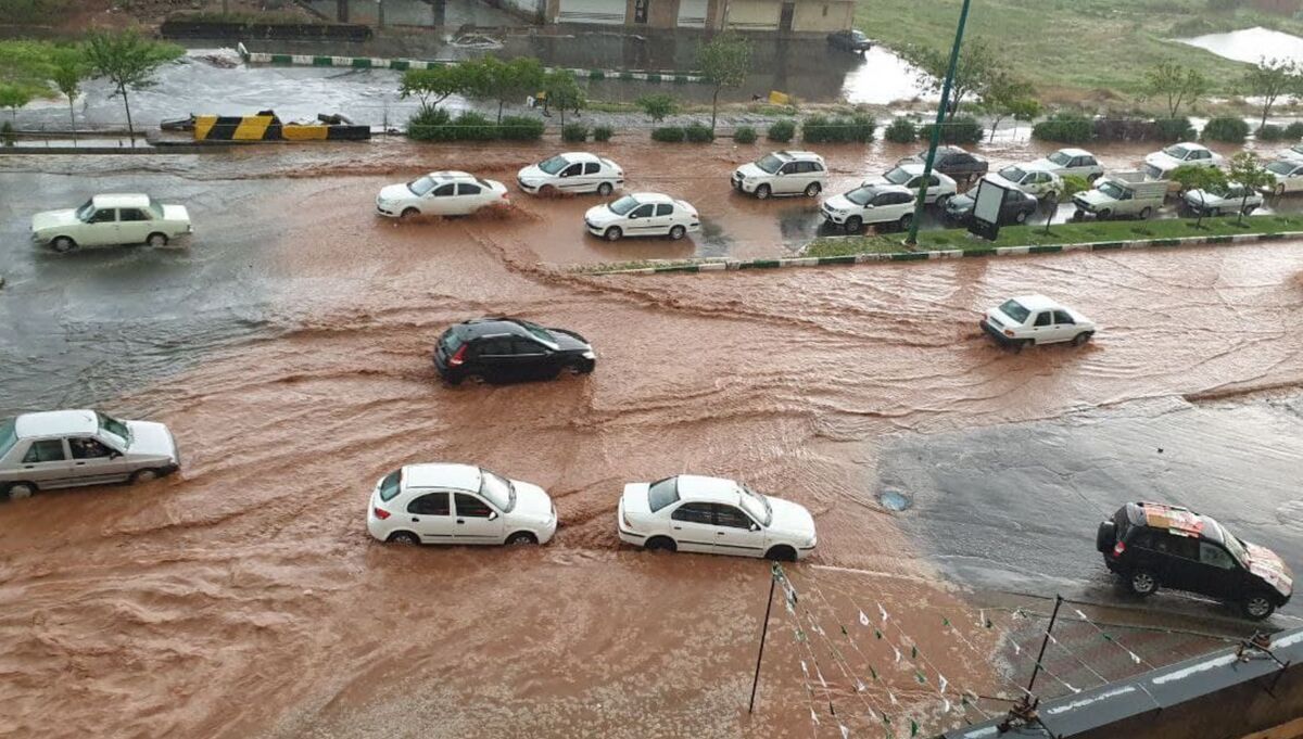 ببینید| بارش باران و وزش شدید باد در مشهد