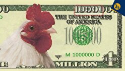 این مرغ‌ها با دلار ارزان سرخ شده‌اند | معاون بازرگانی سابق وزیر کشاورزی: دارند ارز کشور را آتش می‌زنند