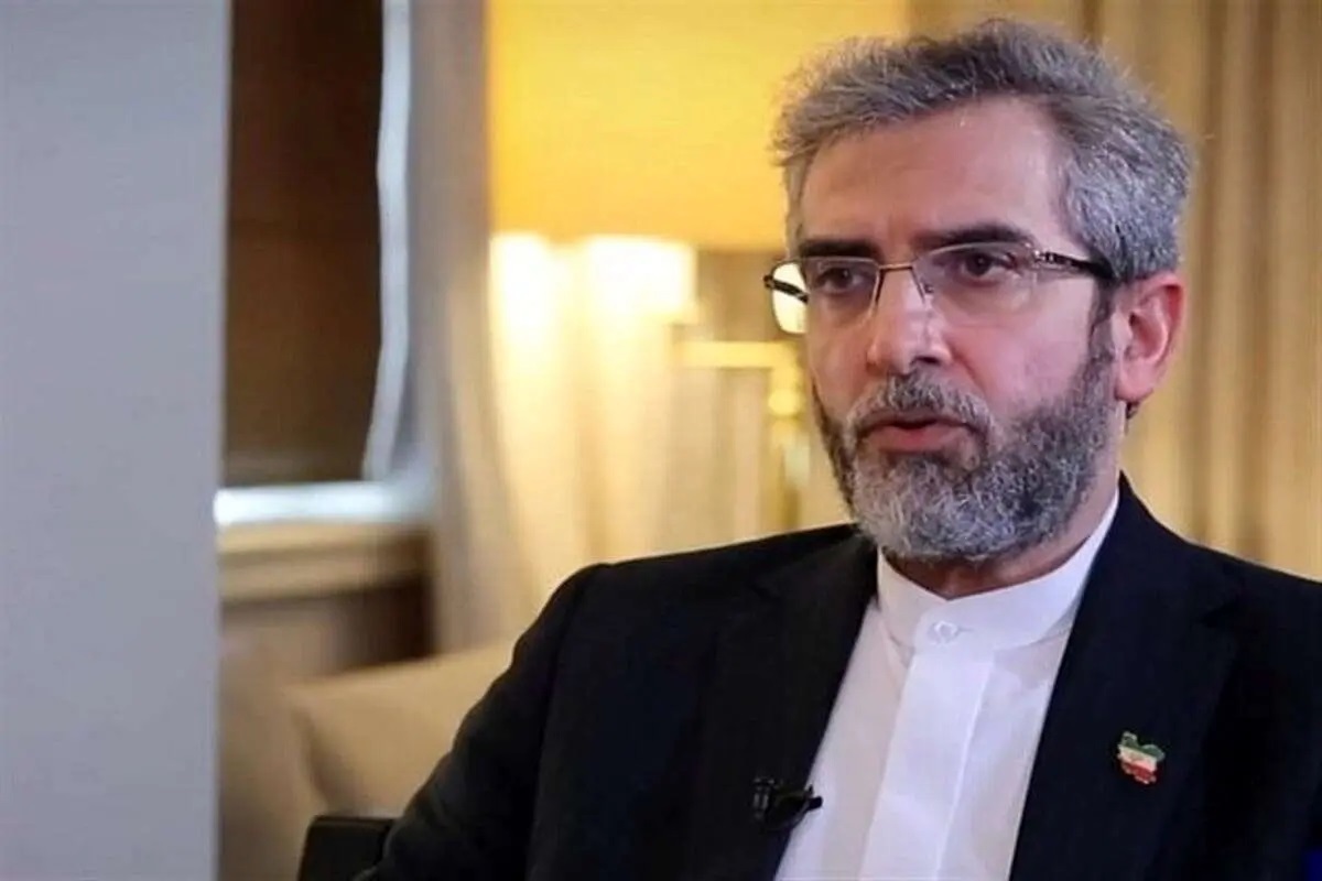 علی باقری: کانادا اجازه برگزاری انتخابات ایران در این کشور را نداد