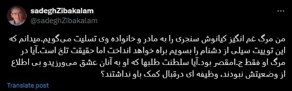 زیباکلام: در مرگ کیانوش سنجری سلطنت‌طلبان هم مقصر بودند