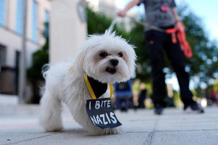 اعتراض آمریکایی ها علیه سیاستهای ترامپ و ماسک +عکس اعتراض آمریکایی ها علیه سیاستهای ترامپ و ماسک +عکس