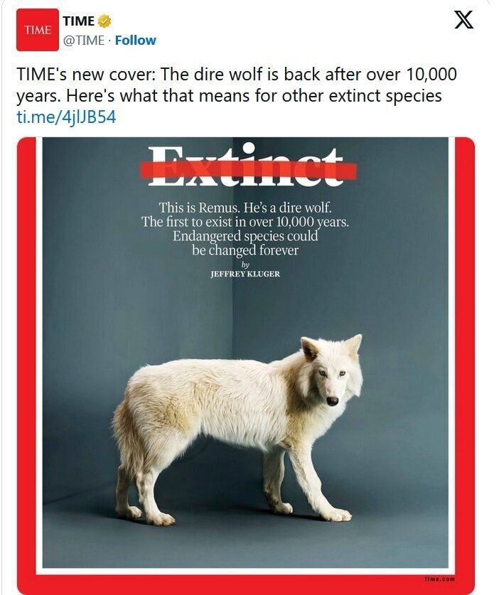 با حیوان خانگی عجیب ایلان ماسک آشنا شوید! با حیوان خانگی عجیب ایلان ماسک آشنا شوید!