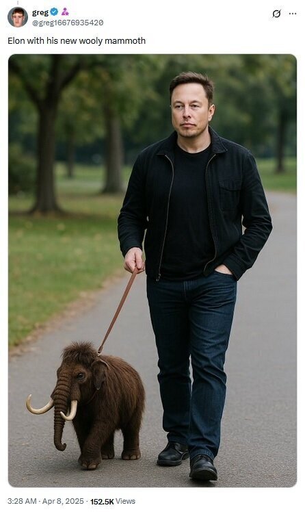 با حیوان خانگی عجیب ایلان ماسک آشنا شوید! با حیوان خانگی عجیب ایلان ماسک آشنا شوید!