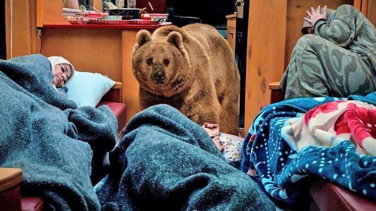 از حذف سارا و نیکا تا سانسور چهار قسمت و پایان ناگهانی «پایتخت» از حذف سارا و نیکا تا سانسور چهار قسمت و پایان ناگهانی «پایتخت»