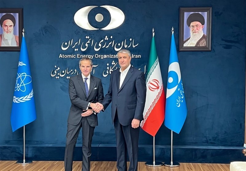 گروسی با رییس سازمان انرژی اتمی دیدار کرد گروسی با رییس سازمان انرژی اتمی دیدار کرد