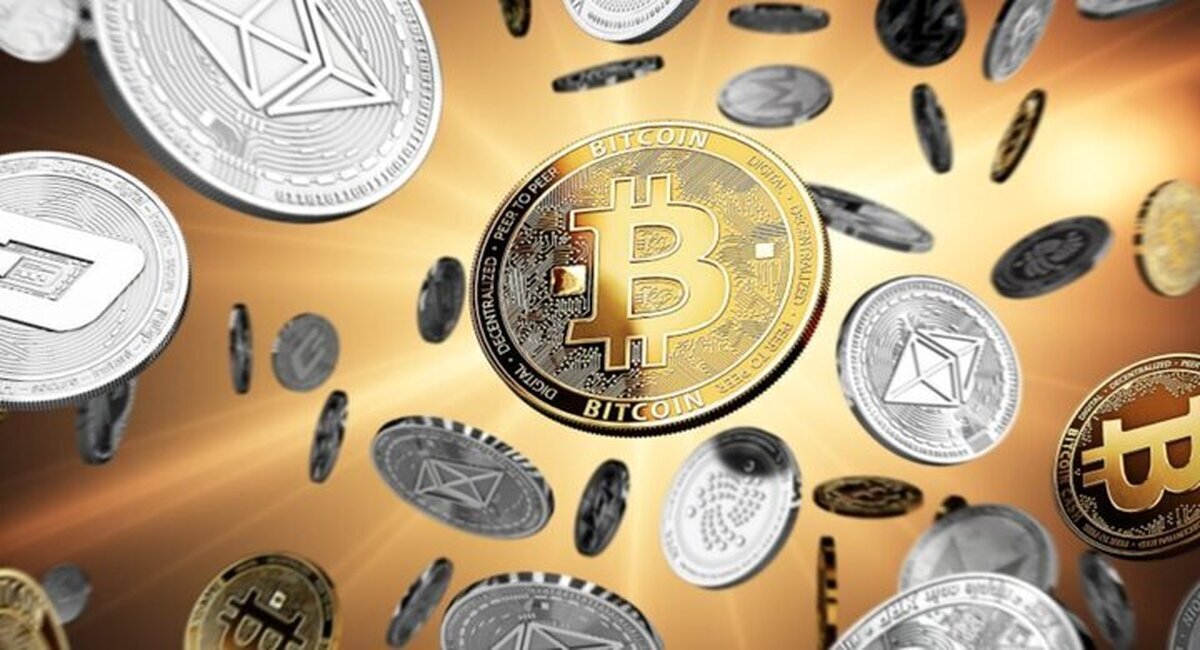 فصل شیرین میمکوینها رسید؟ فصل شیرین میمکوینها رسید؟