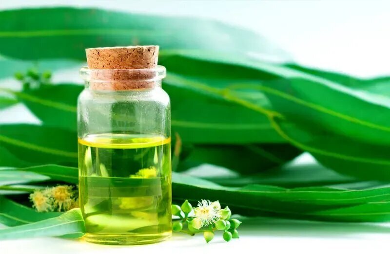 اگر آلرژی بهاری دارید، بخوانید! اگر آلرژی بهاری دارید، بخوانید!