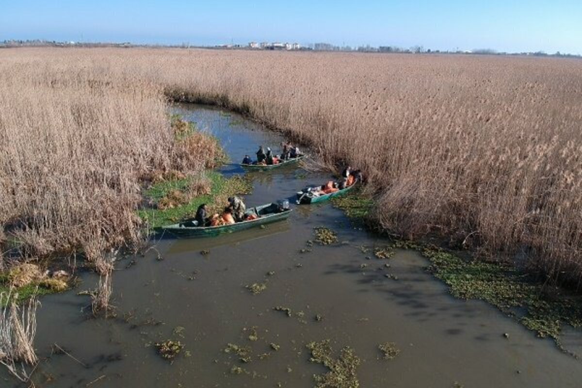 ۶۶ درصد تالابهای کشور مرکز گرد و غبار شدند! ۶۶ درصد تالابهای کشور مرکز گرد و غبار شدند!