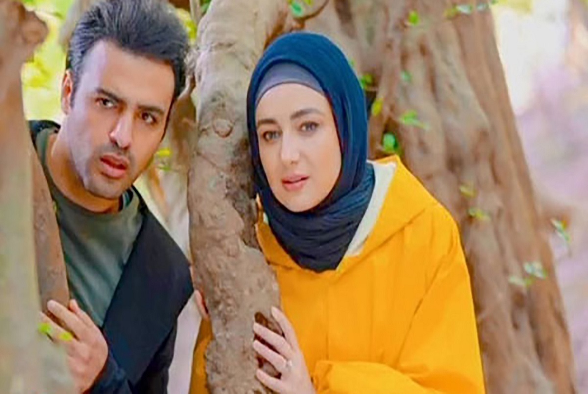 سمامان صفاری کیست؟ سمامان صفاری کیست؟