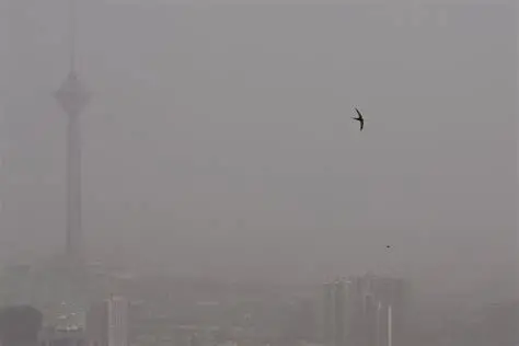 شاخص ذرات معلق ۲.۵ میکرون در تهران به ۱۱۵ رسید! آلودگی هوا