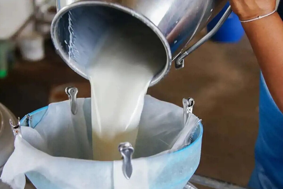 افزایش ۳۰ درصدی قیمت شیر خام افزایش ۳۰ درصدی قیمت شیر خام