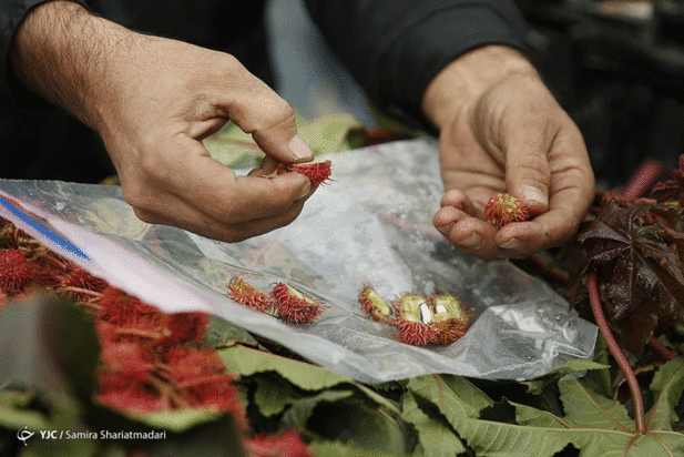 سی و نهمین طرح رعد