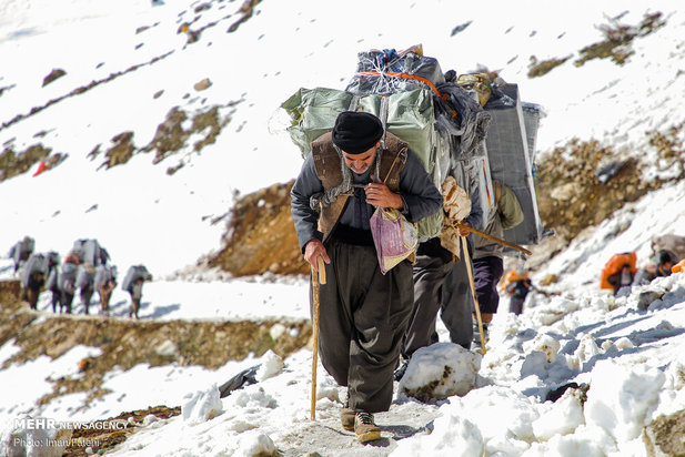 کولبران در برف و سرما